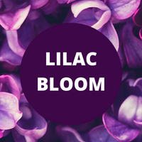 Black Canyon Lilac Bloom Scented Argan Oil Hair Shampoo