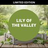 Lily of the Valley Scented Shimmering Body Lotion
