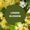 Linden Blossom Scented Argan Oil Hair Conditioner