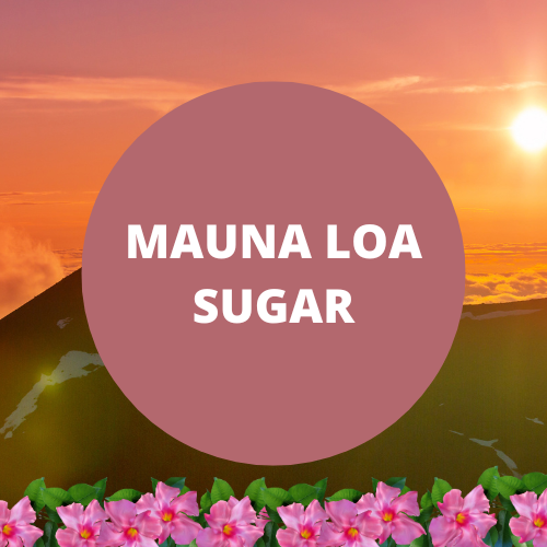 Mauna Loa Sugar Scented Protein Hair Gel