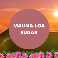Black Canyon Mauna Loa Sugar Scented Body Lotion