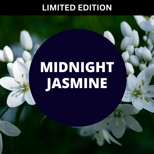 Midnight Jasmine Scented Argan Oil Hair Conditioner