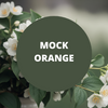 Mock Orange Scented Argan Oil Hair Conditioner