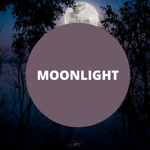 Moonlight Scented Protein Hair Gel