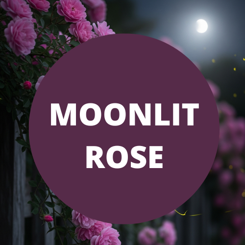 Moonlit Rose Scented Argan Oil Hair Conditioner