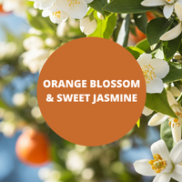 Orange Blossom & Sweet Jasmine Scented Argan Oil Hair Conditioner