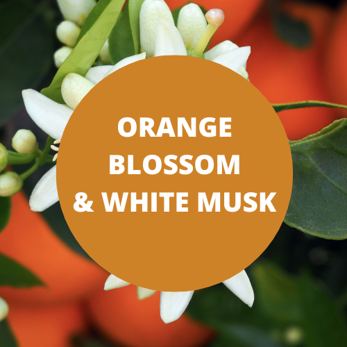 Orange Blossom & White Musk Scented Argan Oil Hair Shampoo