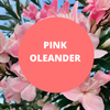 Pink Oleander Scented Argan Oil Hair Shampoo