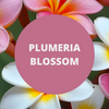 Plumeria Blossom Scented Argan Oil Hair Conditioner