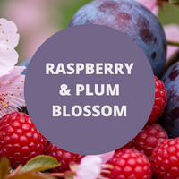 Raspberry & Plum Blossom Scented Argan Oil Hair Shampoo
