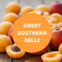Sweet Southern Belle Scented Argan Oil Hair Shampoo