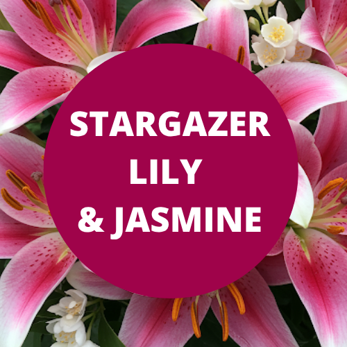 Stargazer Lily & Jasmine Scented Massage Oil