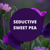 Seductive Sweet Pea Scented Shimmering Body Spray