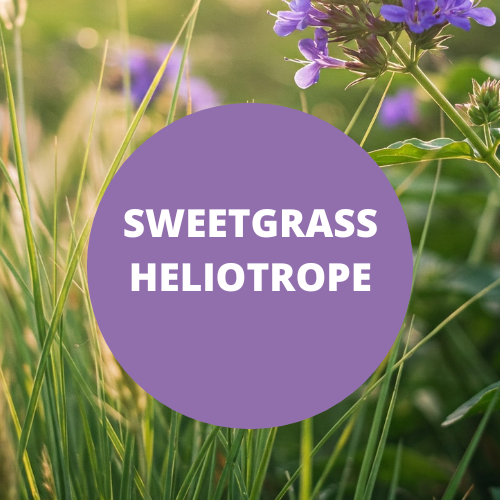 Sweetgrass Heliotrope Scented Argan Oil Hair Shampoo