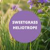 Sweetgrass Heliotrope Scented Argan Oil Hair Conditioner