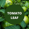 Tomato Leaf Scented Argan Oil Hair Conditioner