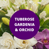 Tuberose Gardenia Orchid Scented Argan Oil Hair Shampoo