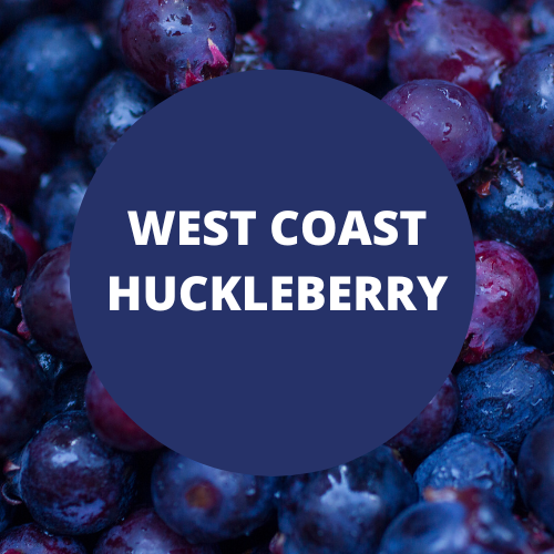 West Coast Huckleberry Scented Argan Oil Hair Conditioner