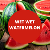 Wet Wet Watermelon Scented Argan Oil Hair Shampoo