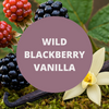 Wild Blackberry Vanilla Scented Argan Oil Hair Conditioner