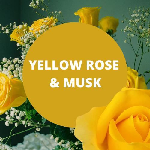 Yellow Rose & Musk Scented Argan Oil Hair Conditioner