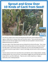 Cacti Collection Glass Terrarium Seed Starting Kit