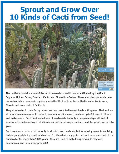 Cacti Collection Glass Terrarium Seed Starting Kit
