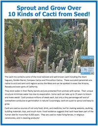 Desert Plant Collection Mini World Terrarium