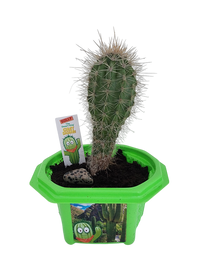 Sully 'The Desert King' Giant Saguaro Micro Dome Terrarium