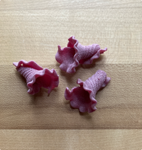 Bronze Die Fresh Campanelle Pasta