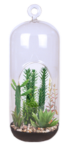 Superb Succulents Glass Terrarium Seed Starting Kit