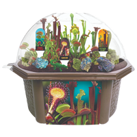 Carnivorous Creatures Biosphere Terrarium