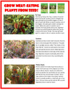 Carnivorous Creatures Biosphere Terrarium