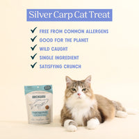Silver Carp For Cats Arch Pet Food