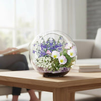 Fairy Triad Glass Terrarium Seed Starting Kit