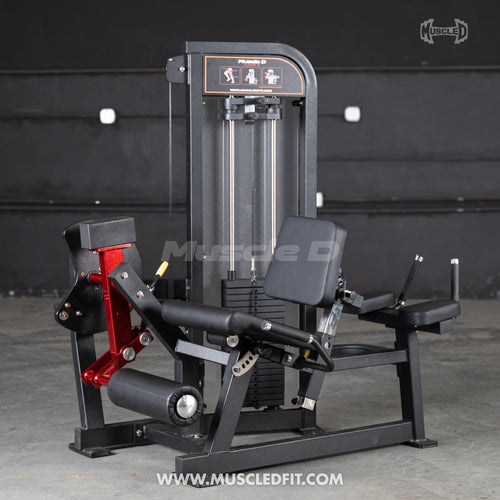 Classic V2 Leg Extension / Prone Leg Curl Combo – Muscle D Fitness