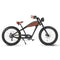 Brown / 48V 13Ah (624Wh) $1699