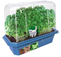 Crazy Cat Plant Mini World Terrarium