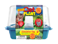 Crazy Cat Plant Mini World Terrarium