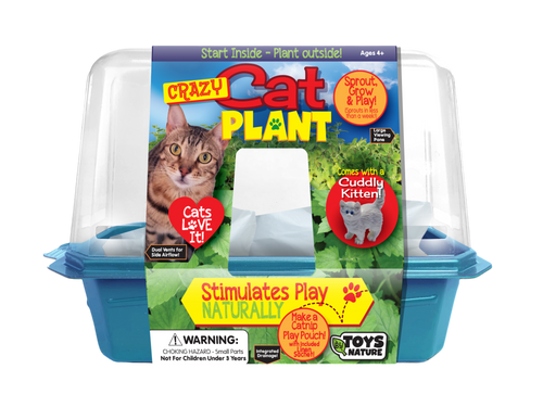 Crazy Cat Plant Mini World Terrarium