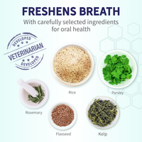 Fresh Breath Dental Bones