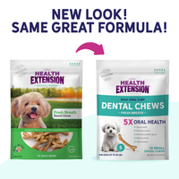 Fresh Breath Dental Bones