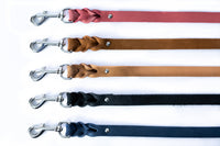 Pro Line Leather Braided Dog Leash