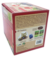 Carnivorous Growarium Meat-Eating Seed Terrarium Kit