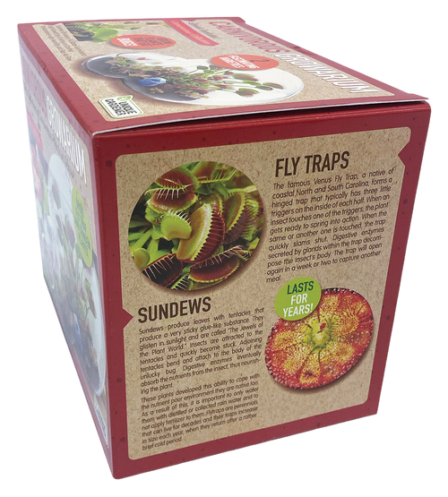 Carnivorous Growarium Meat-Eating Seed Terrarium Kit