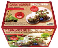 Carnivorous Growarium Meat-Eating Seed Terrarium Kit