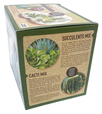 Desert Escape Growarium Succulent and Cacti Seed Terrarium Kit