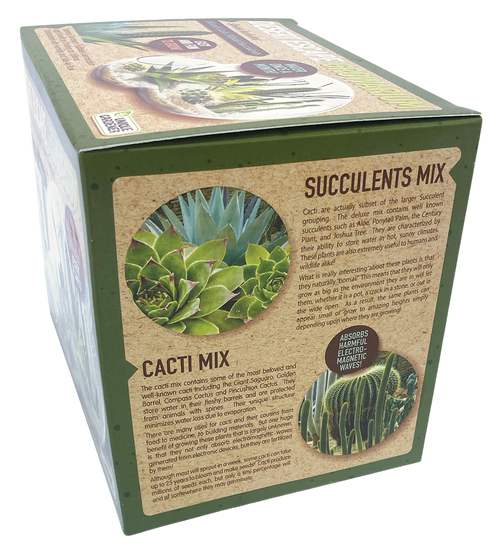 Desert Escape Growarium Succulent and Cacti Seed Terrarium Kit