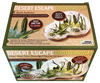 Desert Escape Growarium Succulent and Cacti Seed Terrarium Kit