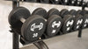 Pro Urethane Dumbbells - Muscle D Fitness - Quality Knurled Handles - Solid Design